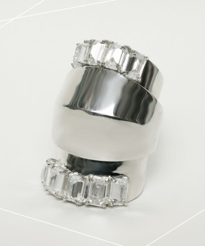 SS2303-AR1163