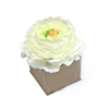 GIFT BOXȢގڎߤ֎Ύ܎ġ