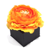 GIFT BOXȢ̎ގ׎ߤ֎ڎݎޡ